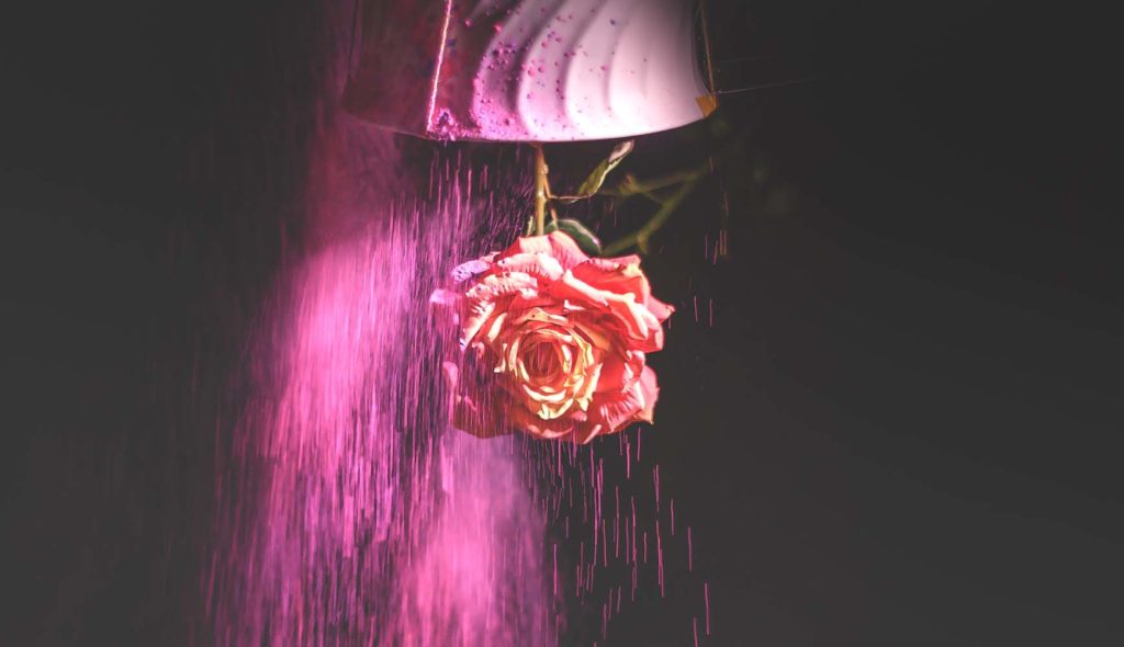 ピンクのバラが逆さ吊りになり、ピンクの照明に照らされた雨に打たれている写真